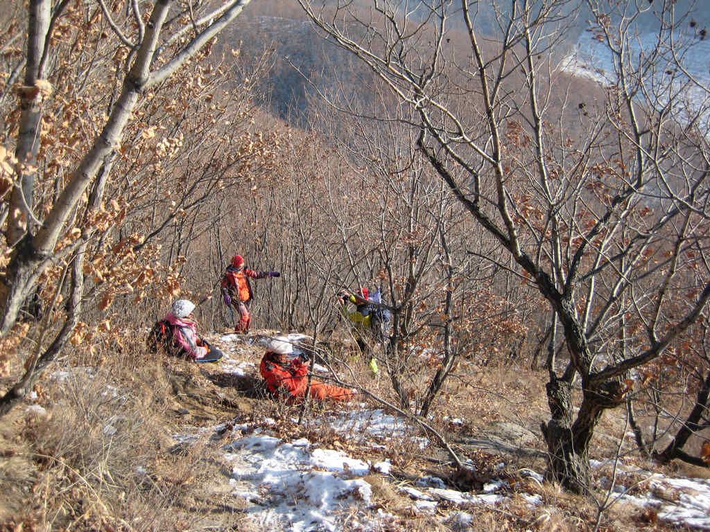 IMG_5540.jpg