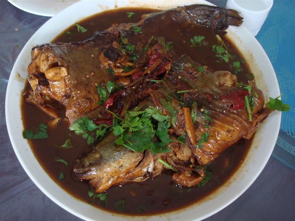 DSC01493 (��).JPG