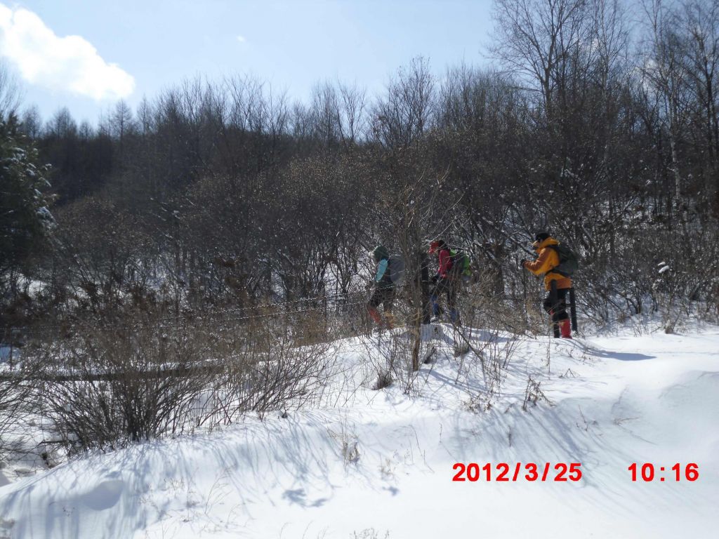 CIMG0558.jpg