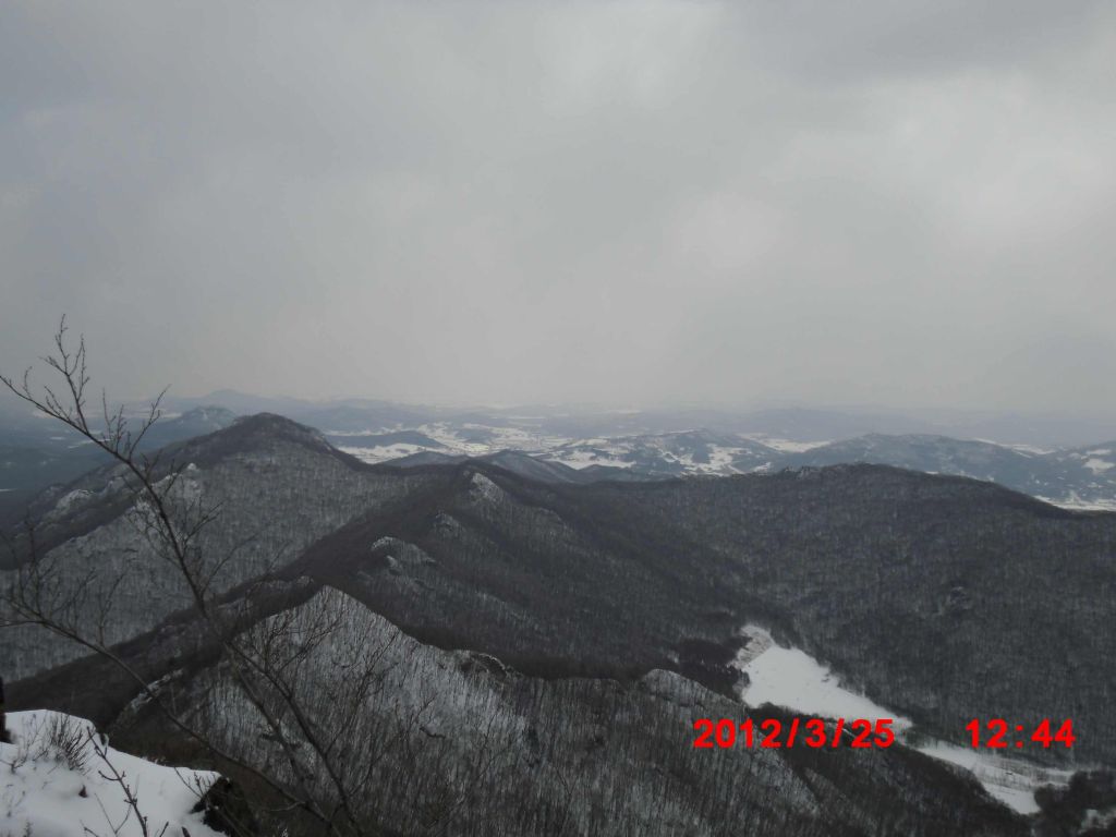 CIMG0595.jpg