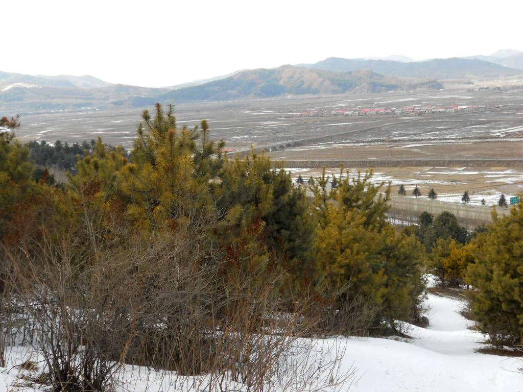 p 095.jpg