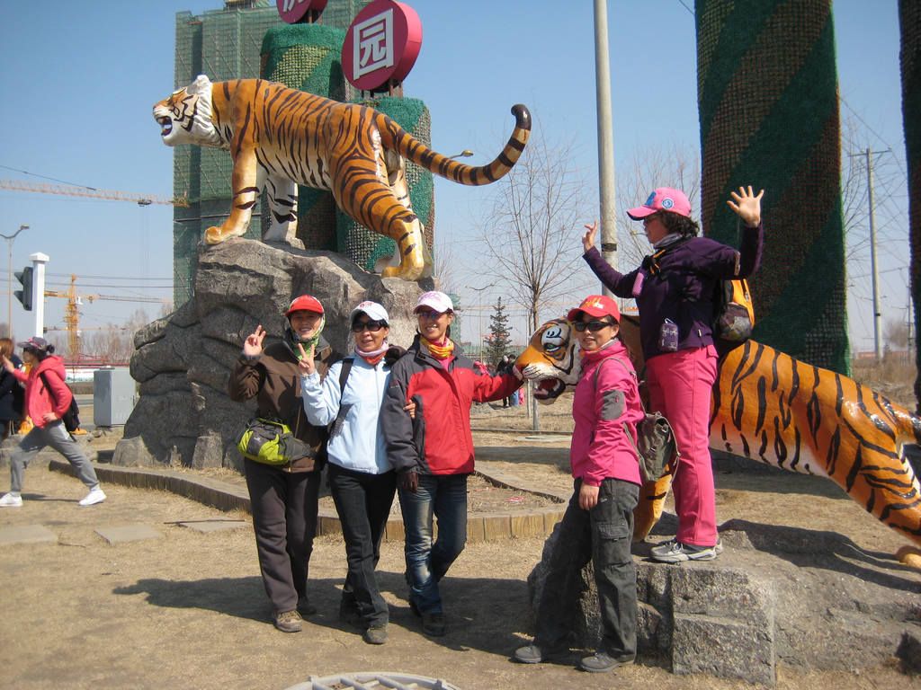 IMG_6084.jpg