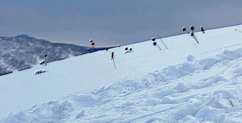 nEO_IMG_�ʵǴ�ͺ���ӣ�2012.3.4�� 618.jpg