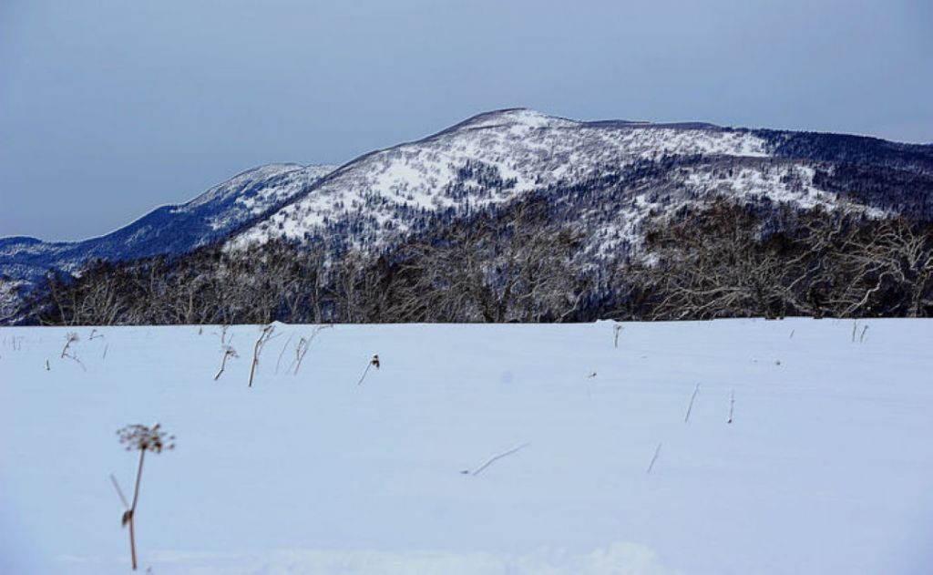 nEO_IMG_�ʵǴ�ͺ���ӣ�2012.3.4�� 621.jpg