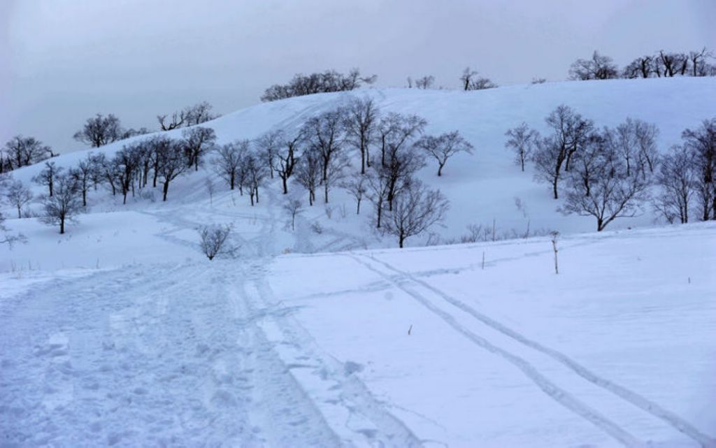 nEO_IMG_�ʵǴ�ͺ���ӣ�2012.3.4�� 624.jpg