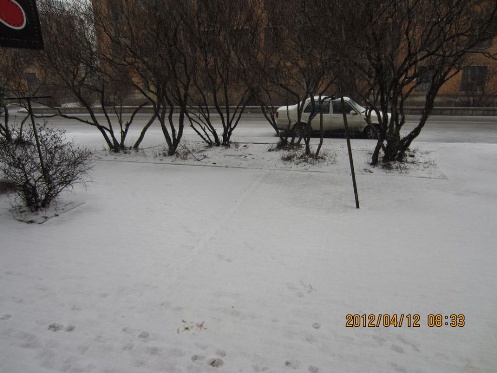 IMG_2294.jpg
