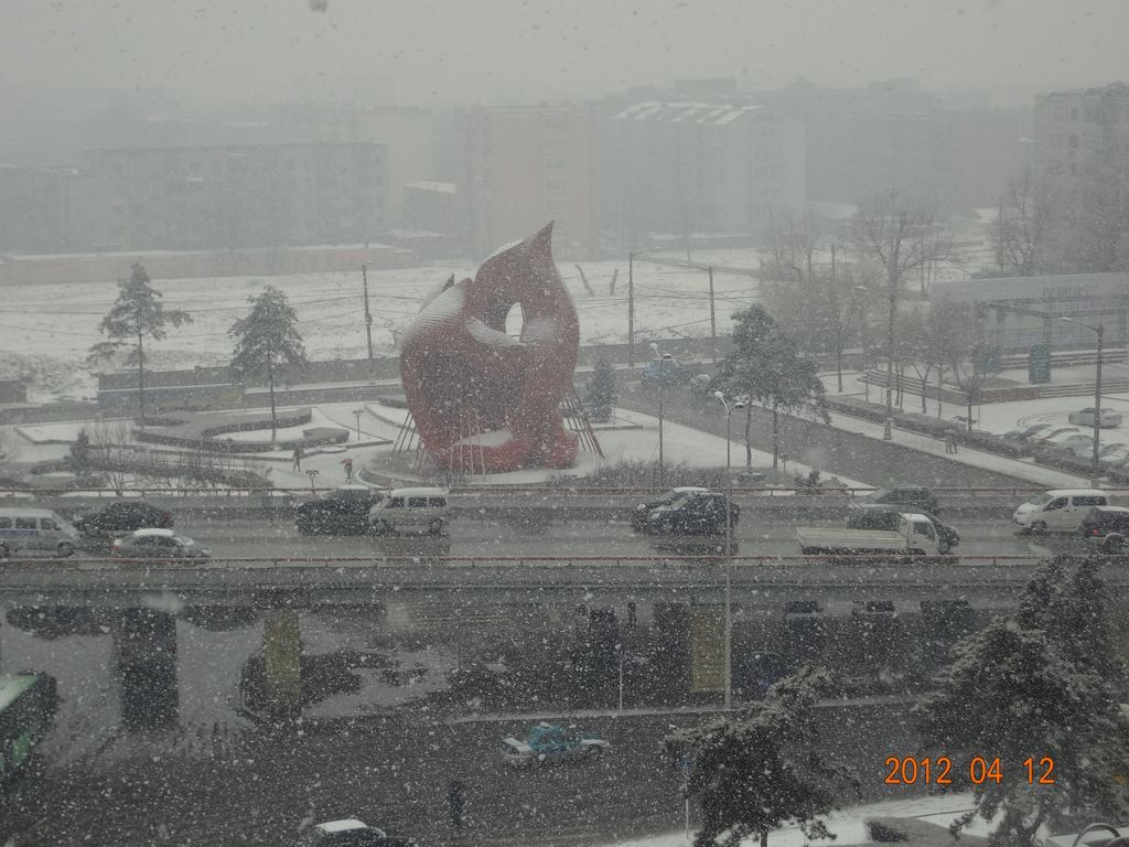 DSC01018.jpg