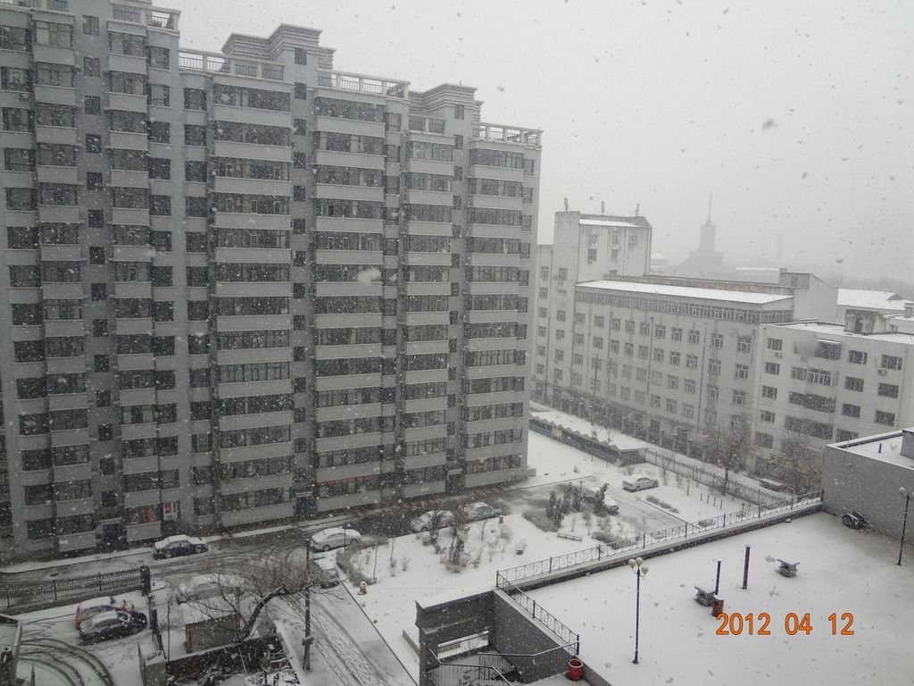 DSC01022.jpg