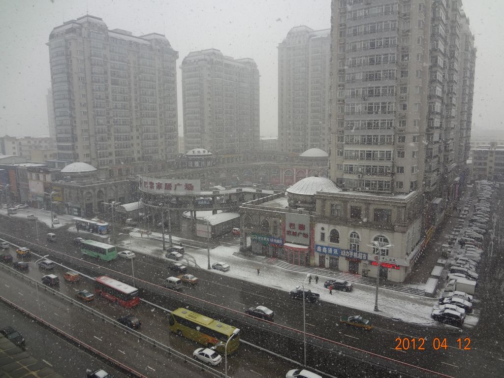 DSC01030.jpg