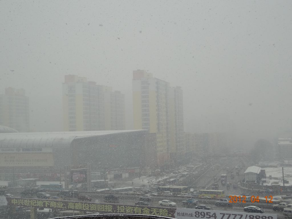 DSC01021.jpg