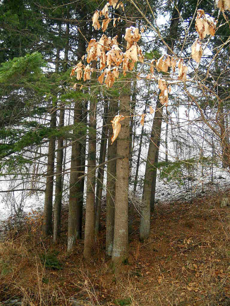 �������ӱʼ�ɽ 014.jpg