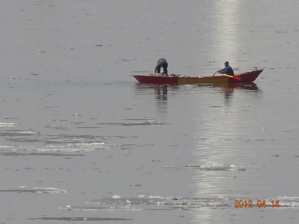 DSC00250.JPG