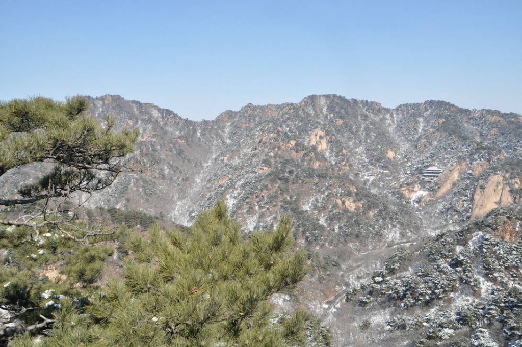 DSC_0446.JPG