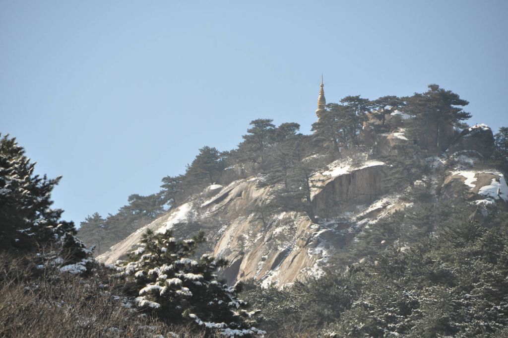 DSC_0395.JPG