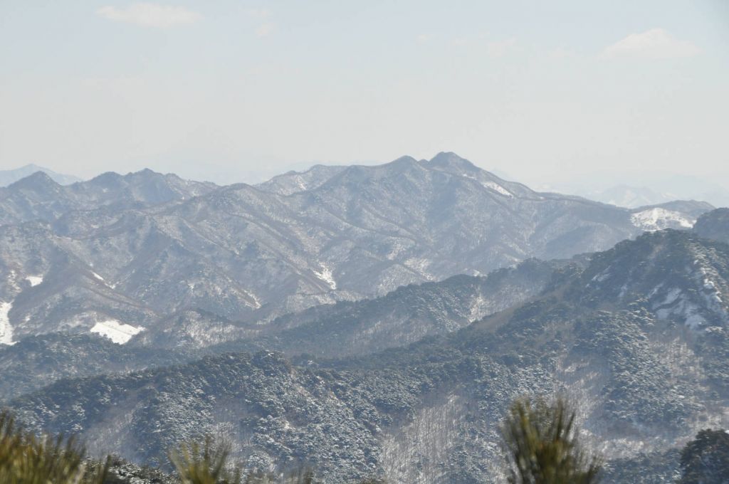 DSC_0502.JPG