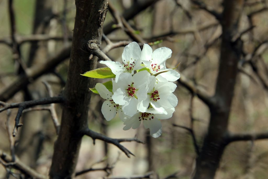 IMG_4780a.jpg