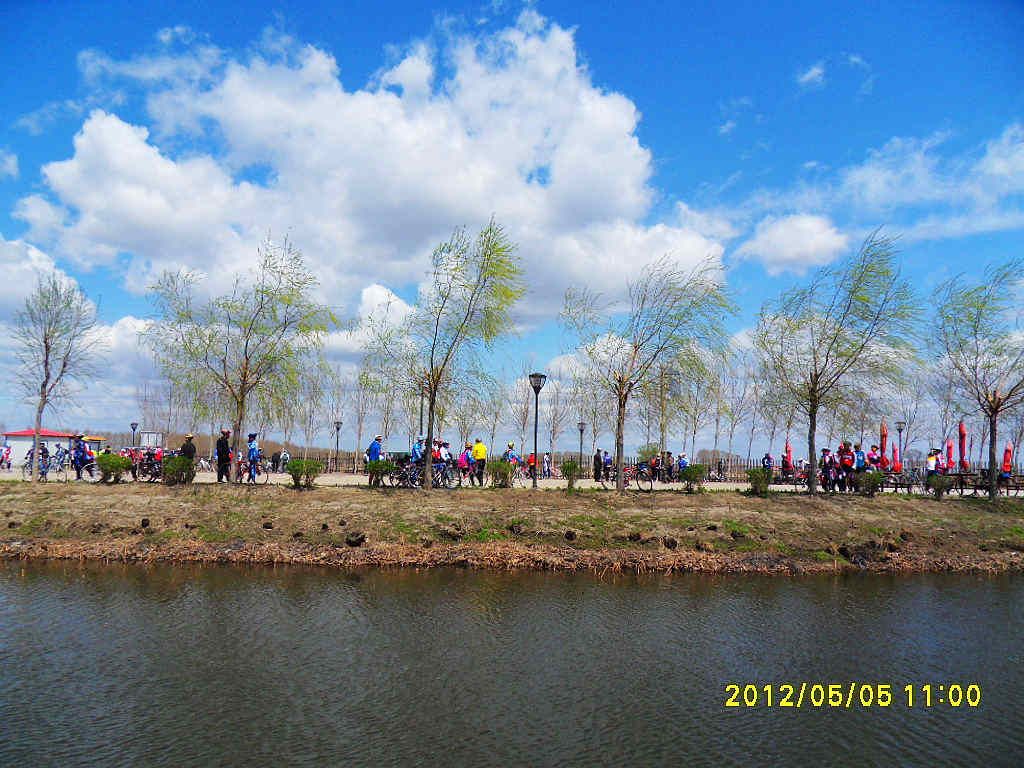 SDC19631.jpg
