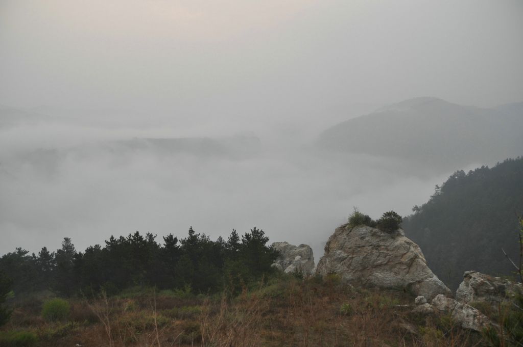 DSC_0229.JPG