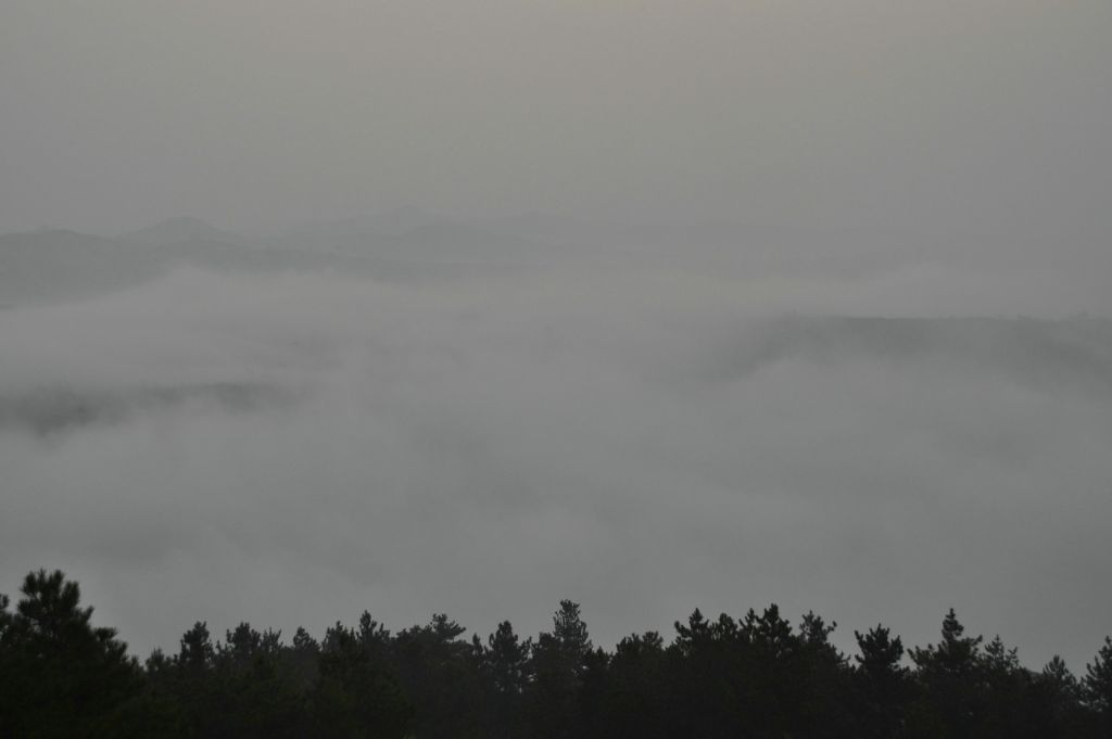 DSC_0230.JPG