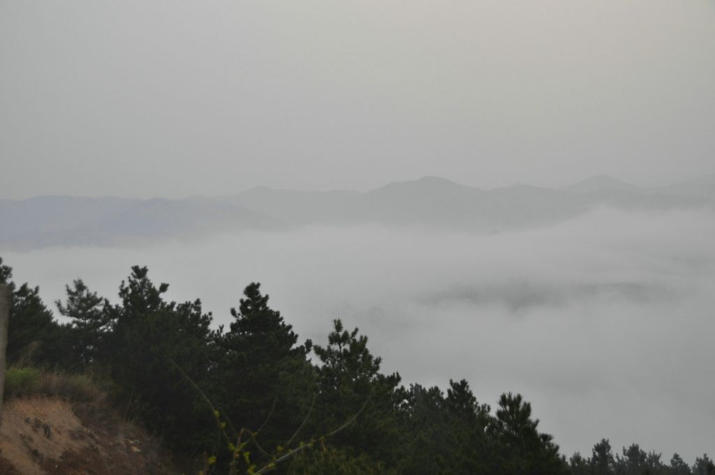 DSC_0231.JPG