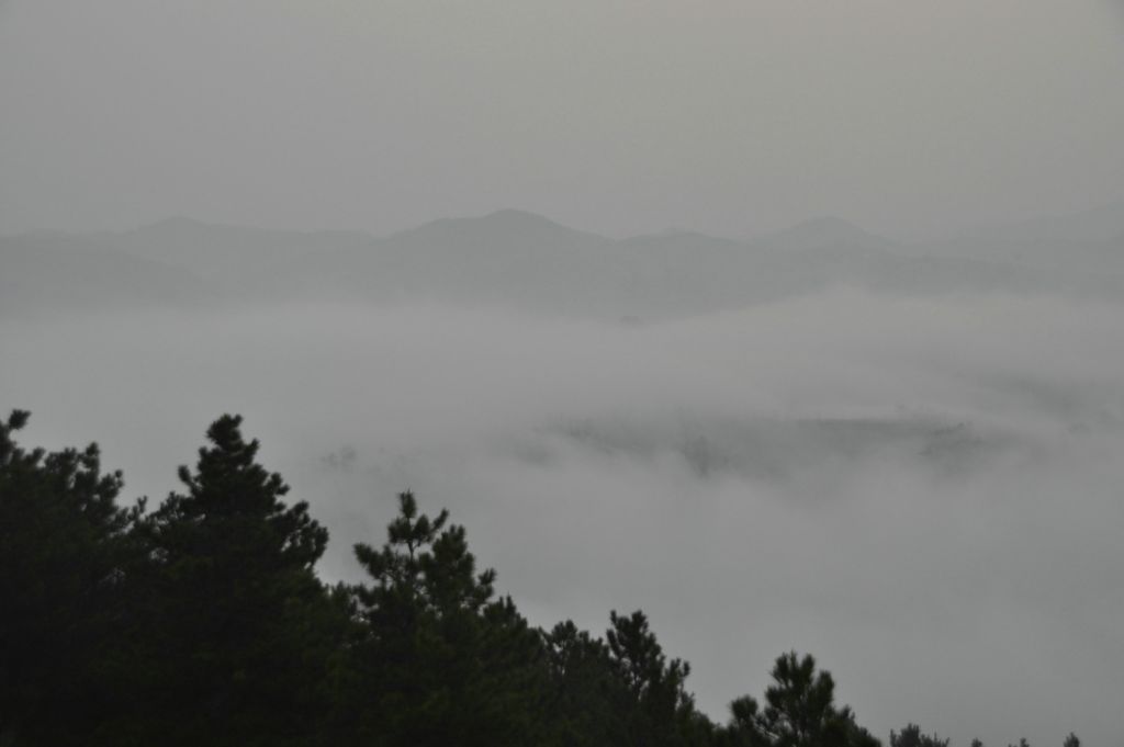 DSC_0232.JPG