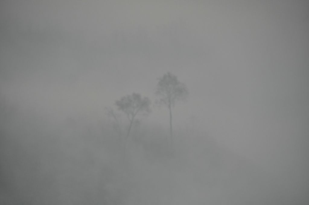 DSC_0235.JPG