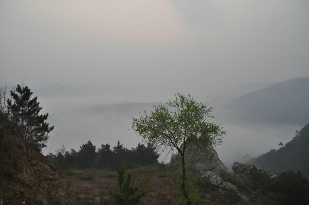 DSC_0242.JPG