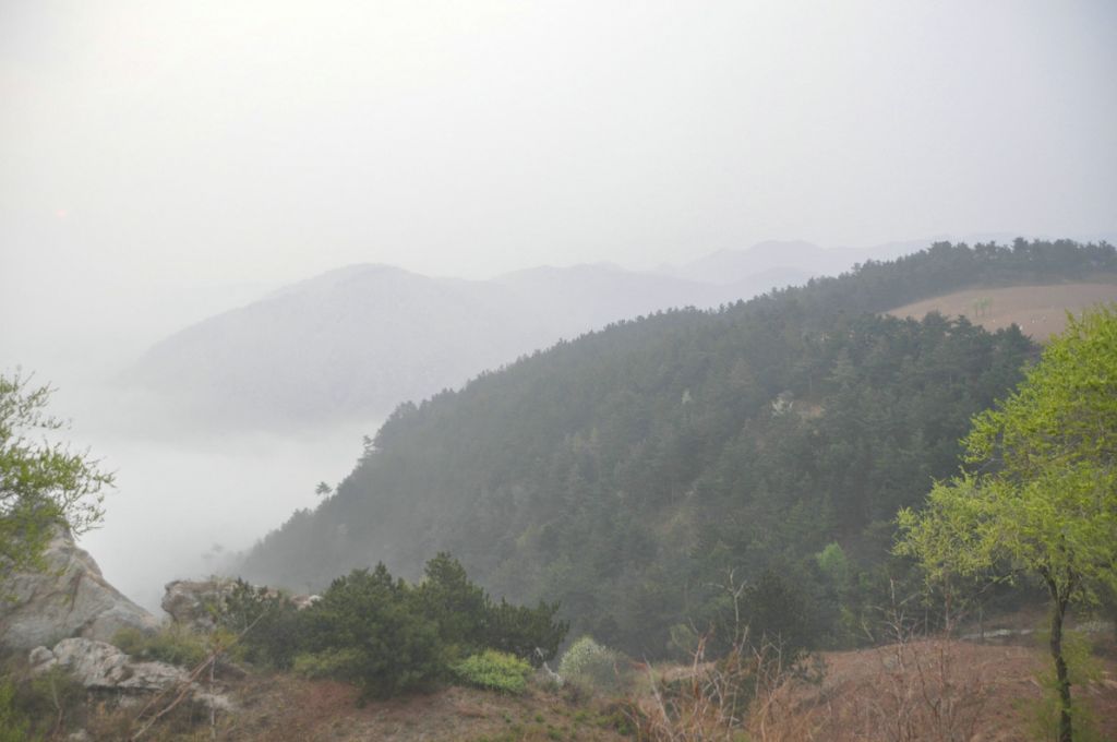 DSC_0243.JPG