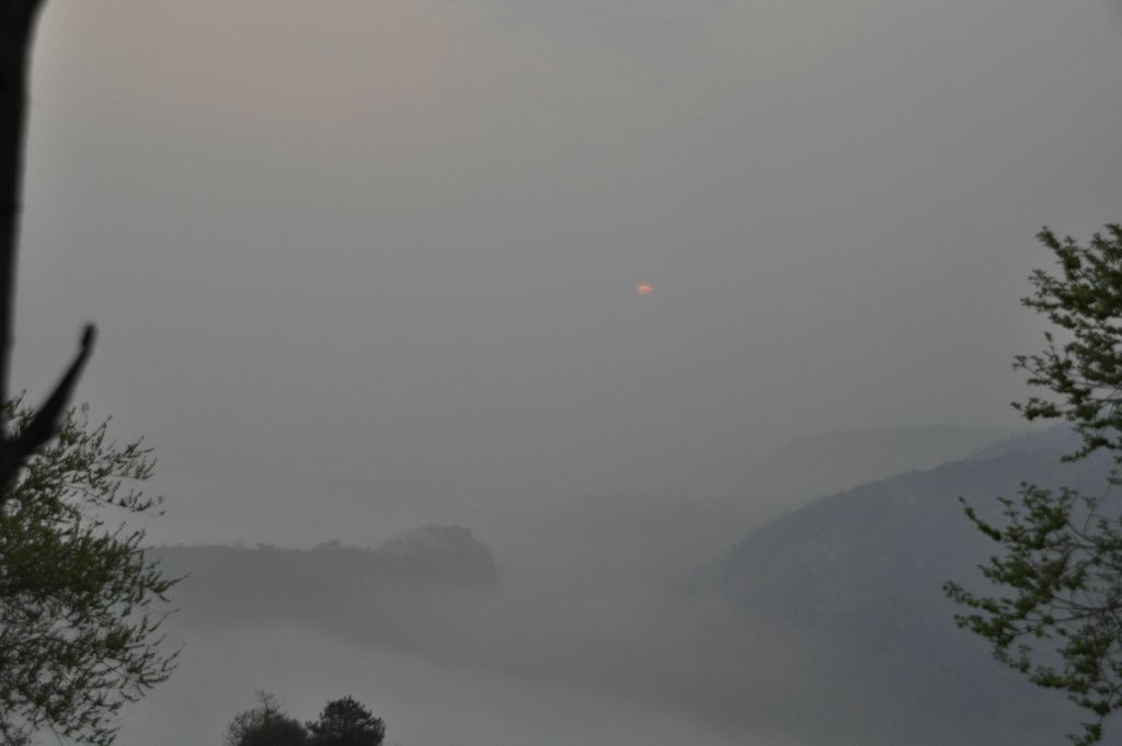 DSC_0245.JPG