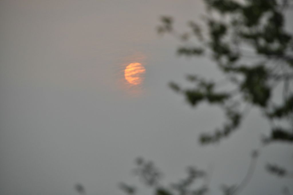 DSC_0290.JPG