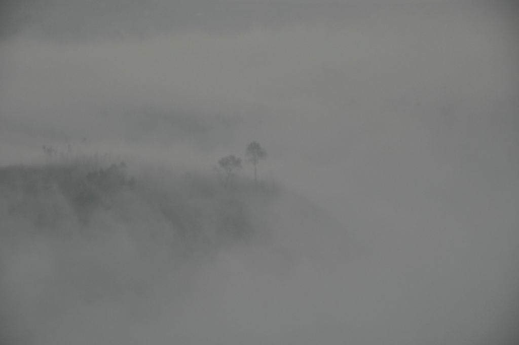 DSC_0236.JPG
