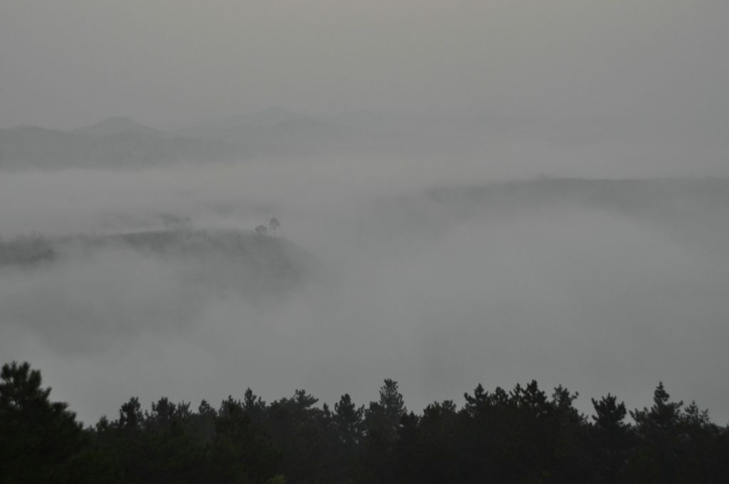 DSC_0239.JPG