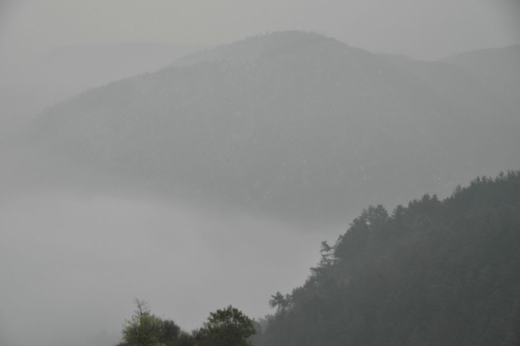 DSC_0241.JPG