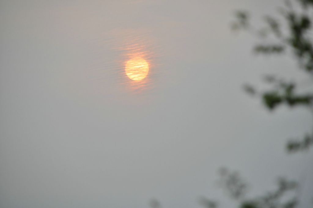 DSC_0312.JPG