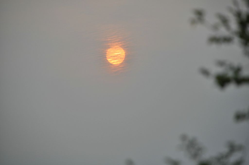 DSC_0314.JPG