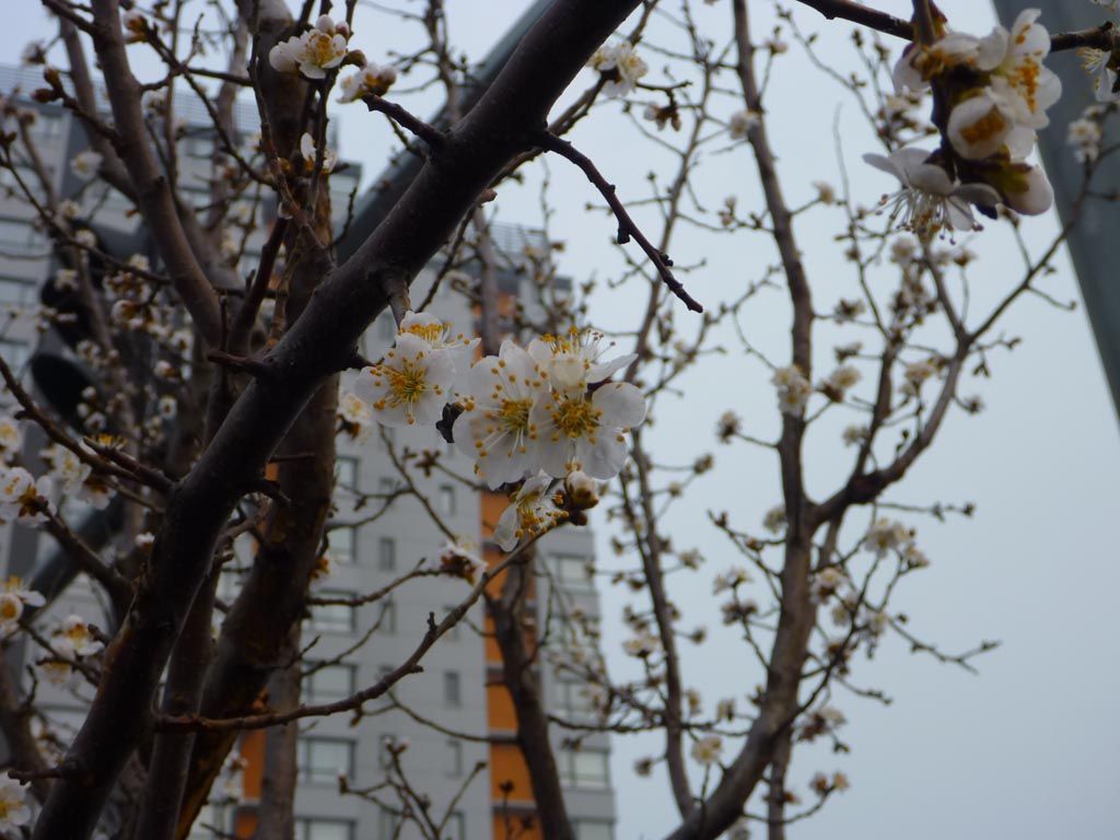 P1040747.JPG