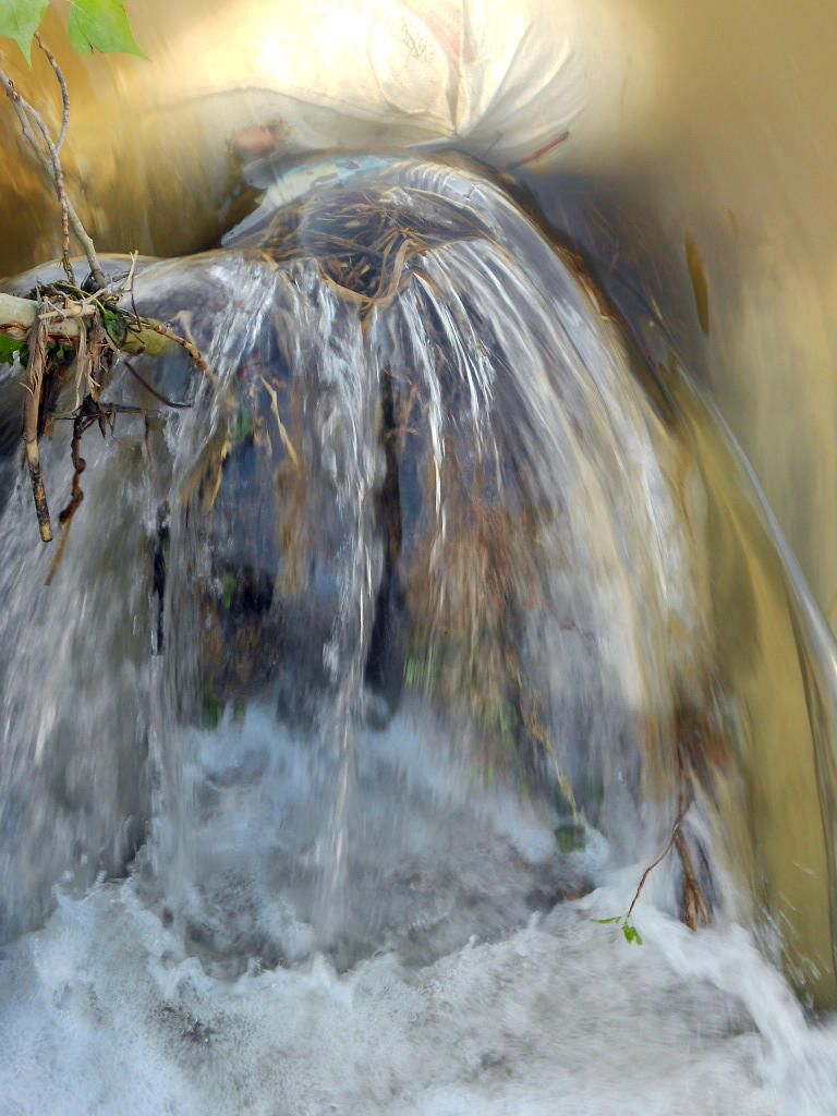 pp 020.jpg