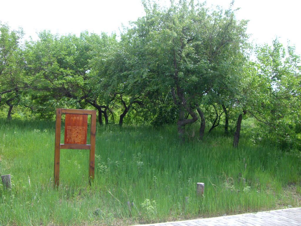 CIMG7914.jpg