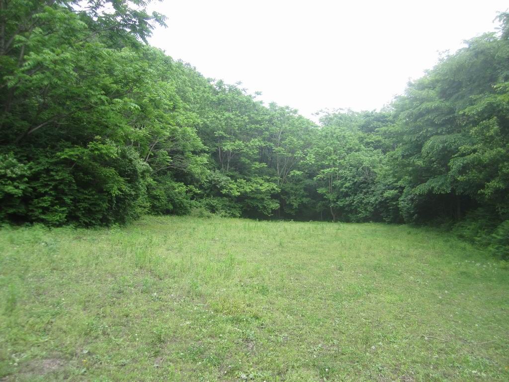 ������С IMG_6717.JPG