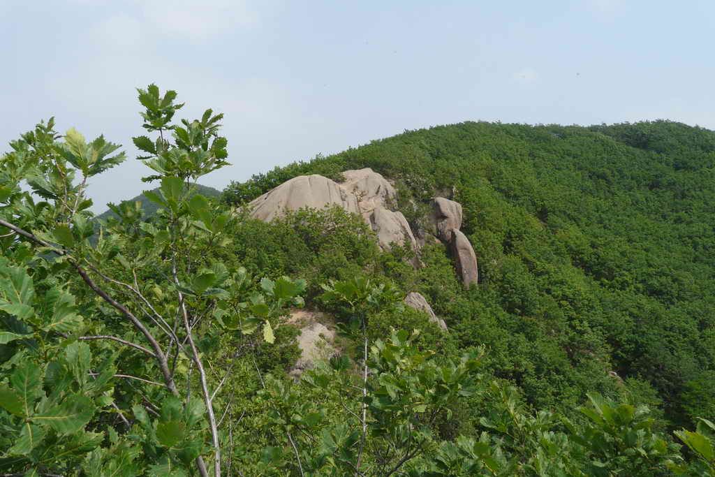 P1020896_������С.JPG