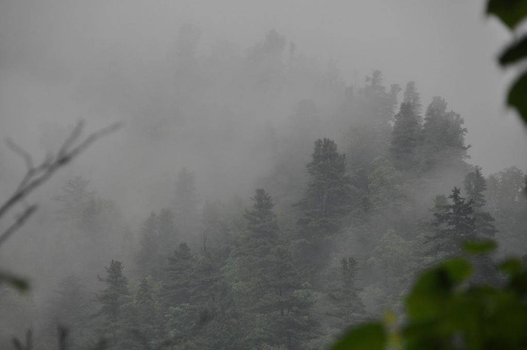 DSC_0880.JPG