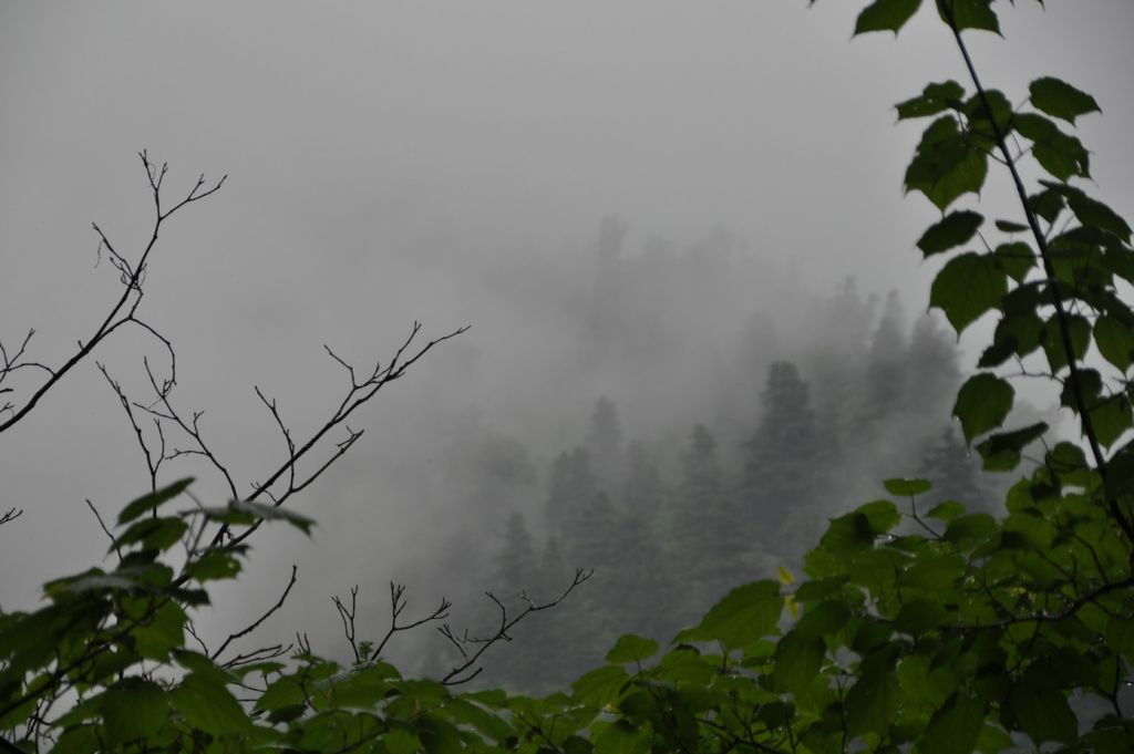 DSC_0881.JPG