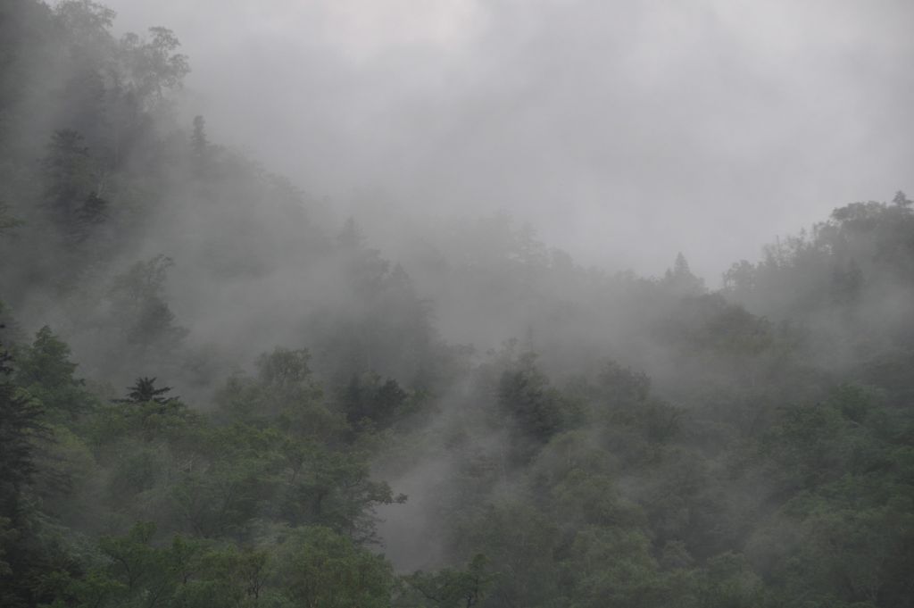 DSC_0893.JPG