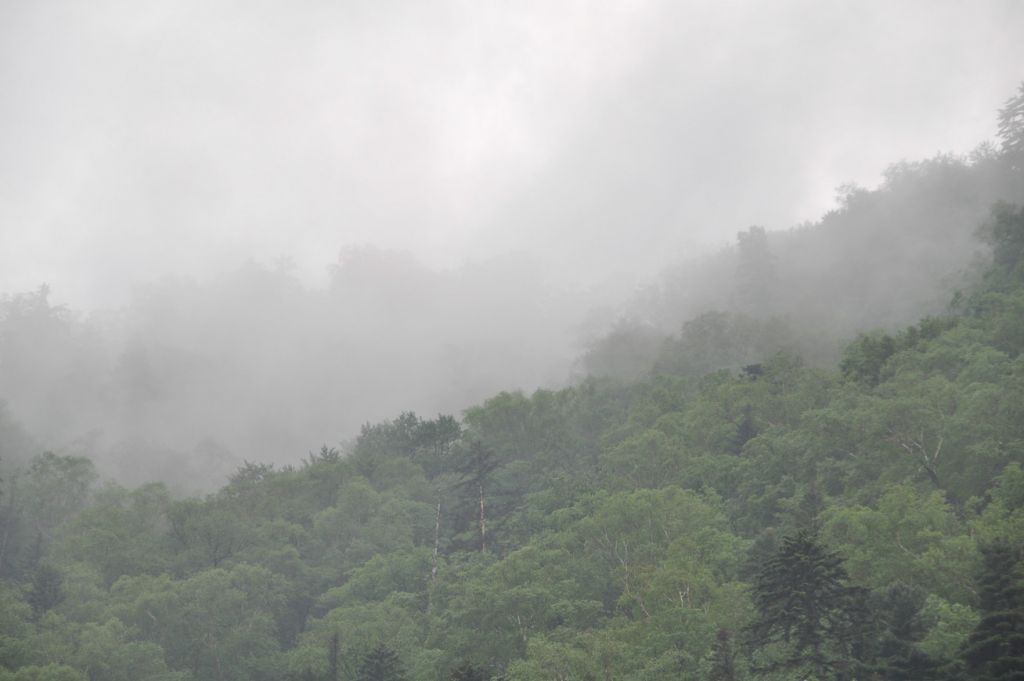 DSC_0894.JPG