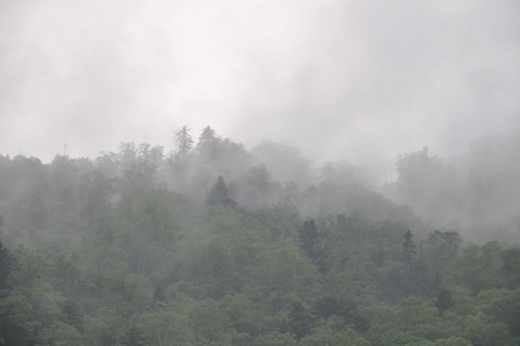 DSC_0895.JPG