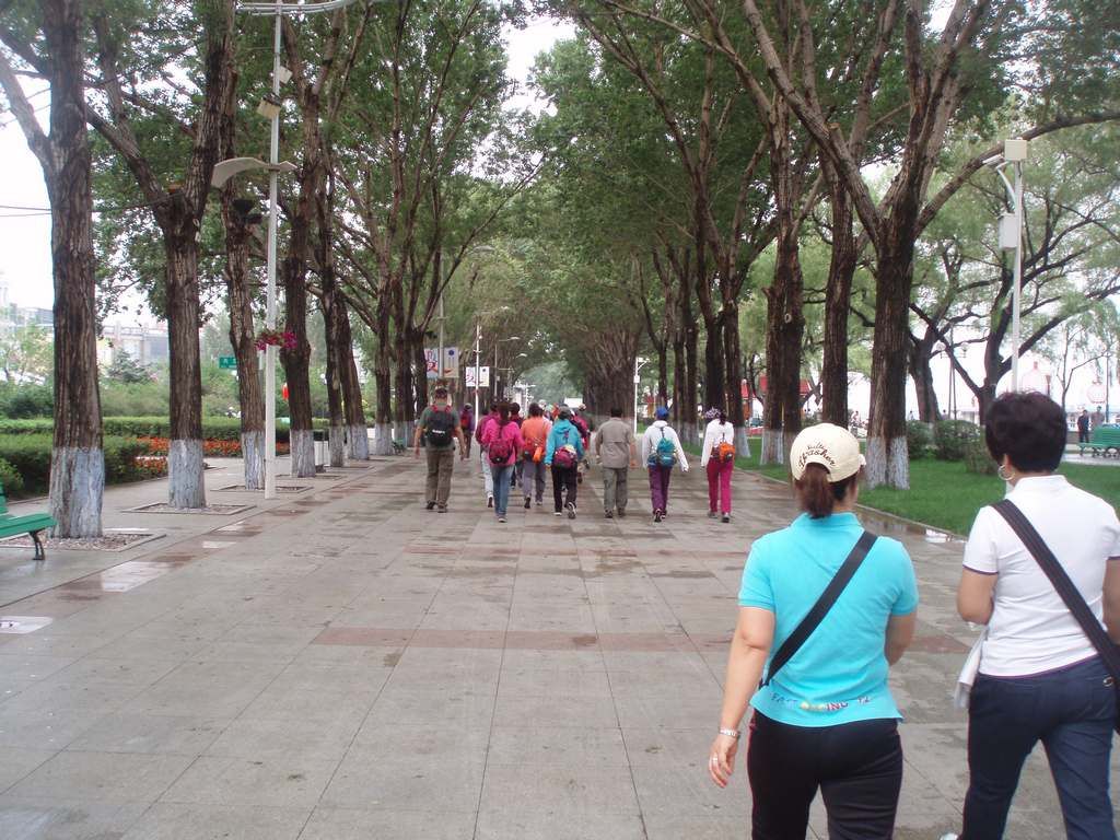 P1010014.jpg