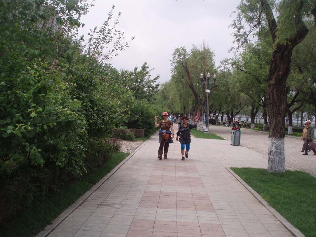 P1010030.jpg