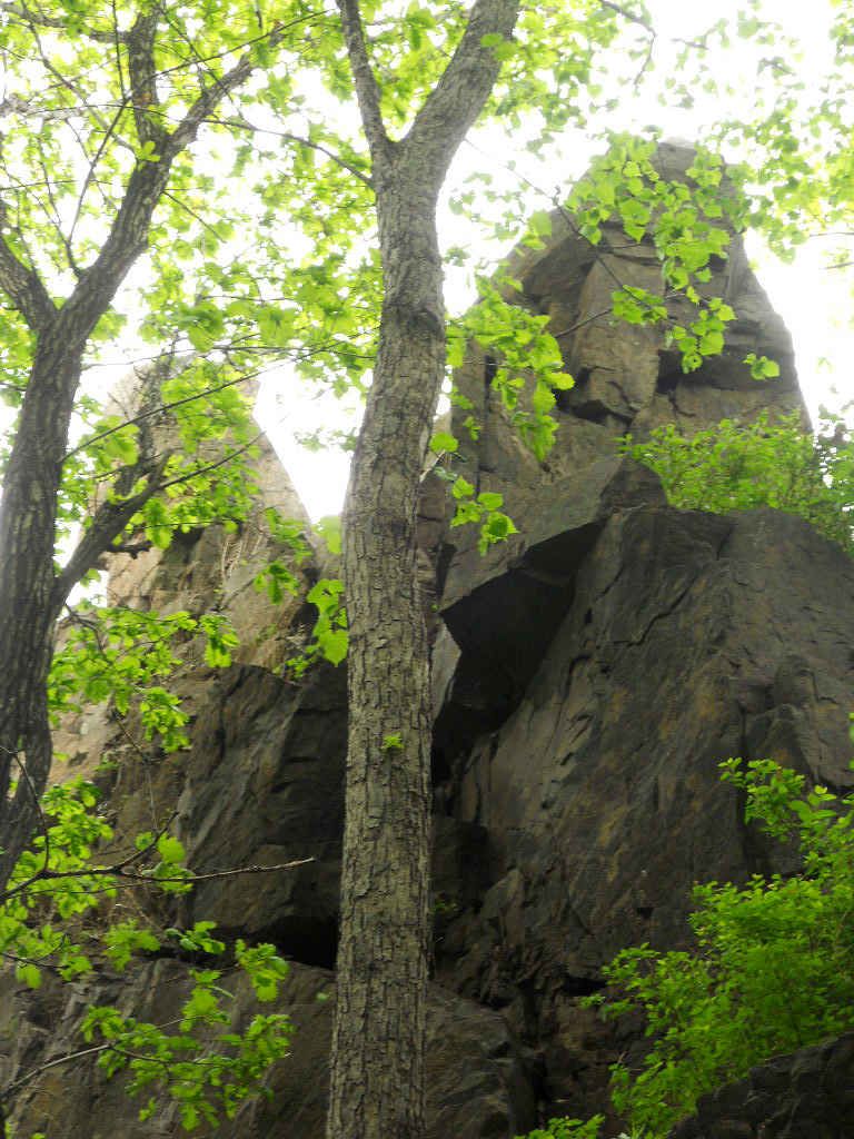 5 26С��--��Ȫ���� 060.jpg