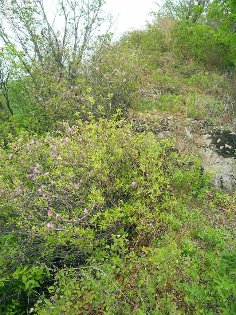 5 26С��--��Ȫ���� 073.jpg