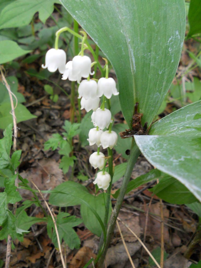 5 26С��--��Ȫ���� 086.jpg